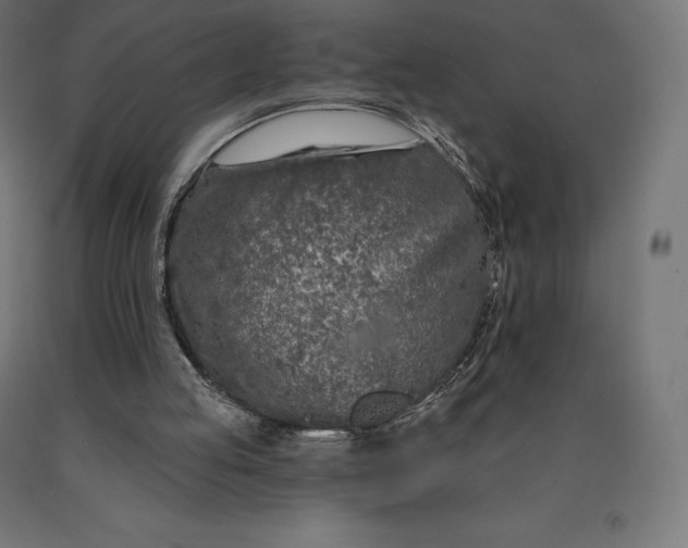 X0000090610053200707311231