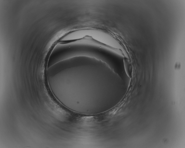 X0000090610054200707311231