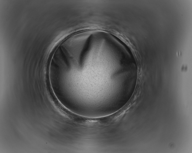 X0000090610055200707311231