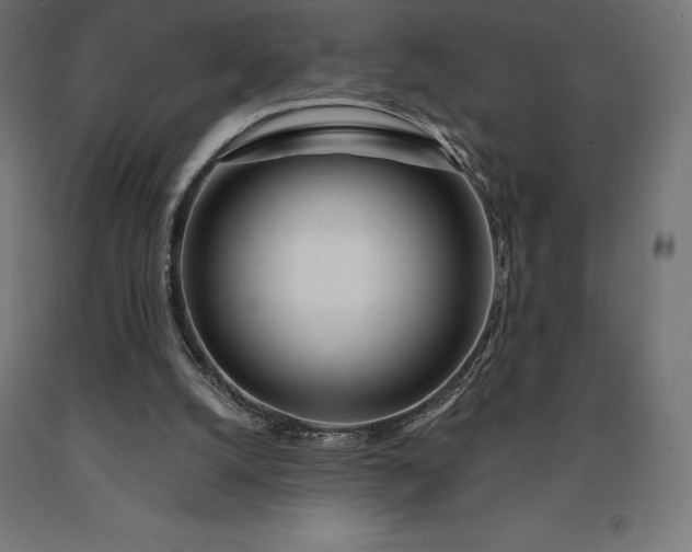 X0000090610056200707311231