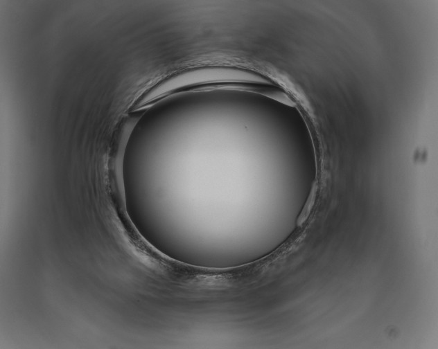 X0000090610057200707311231