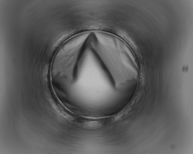 X0000090610058200707311231