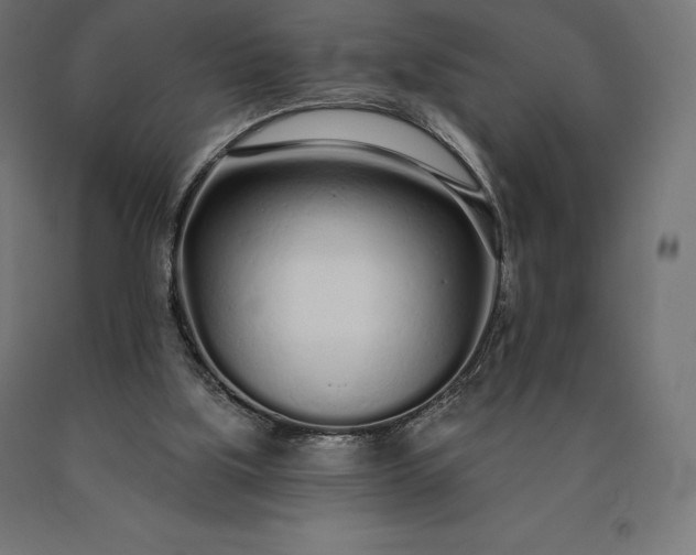 X0000090610059200707311231