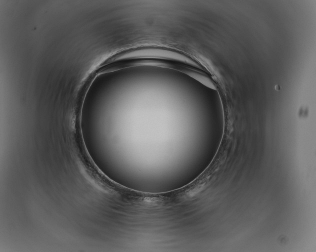 X0000090610060200707311231