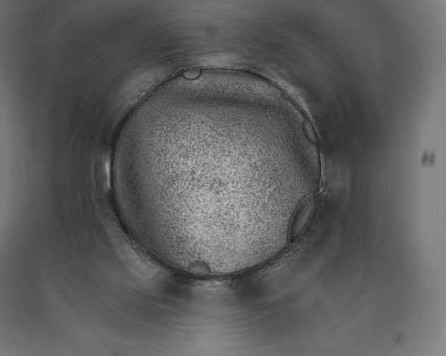 X0000090610061200707311231