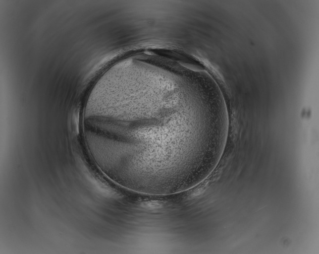 X0000090610062200707311231