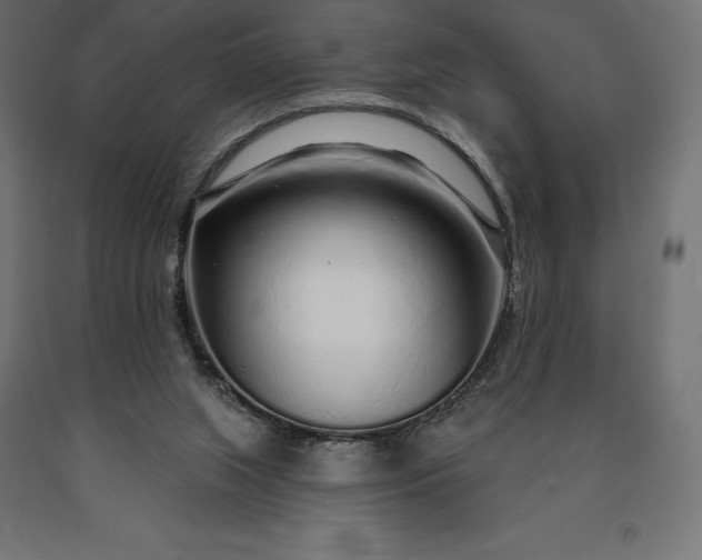 X0000090610063200707311231