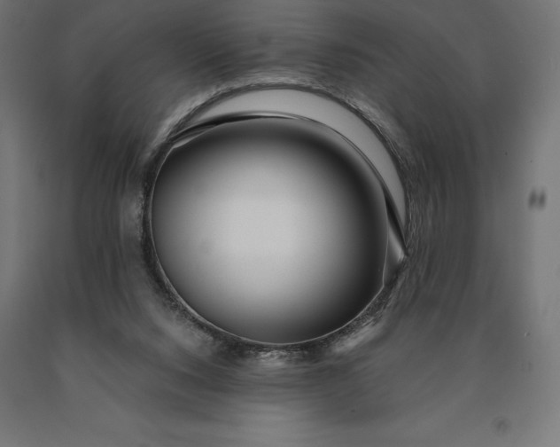 X0000090610064200707311231