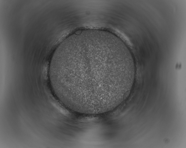 X0000090610065200707311231