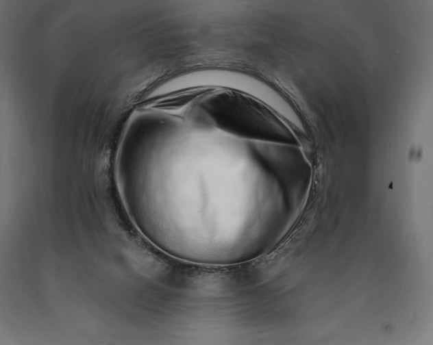 X0000090610066200707311231