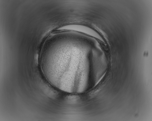 X0000090610067200707311231