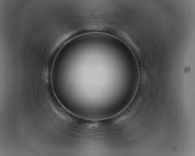 X0000090610068200707311231