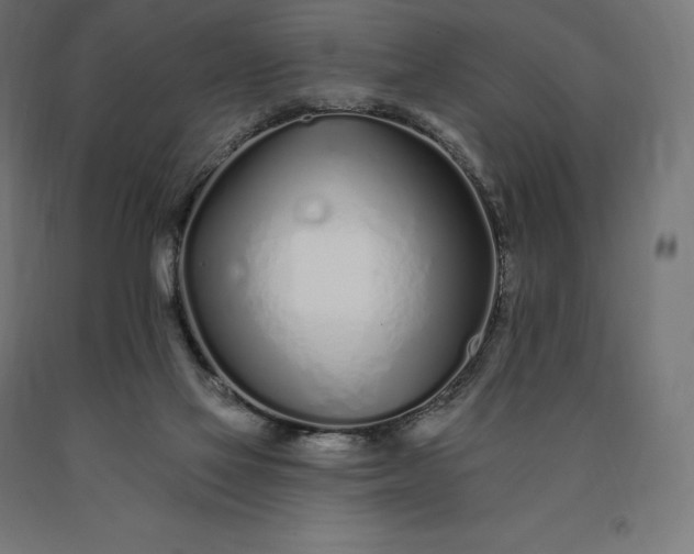 X0000090610069200707311231