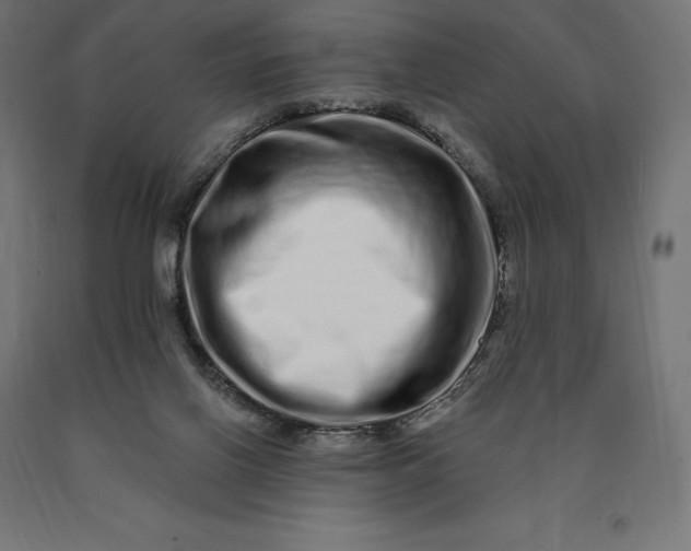 X0000090610070200707311231