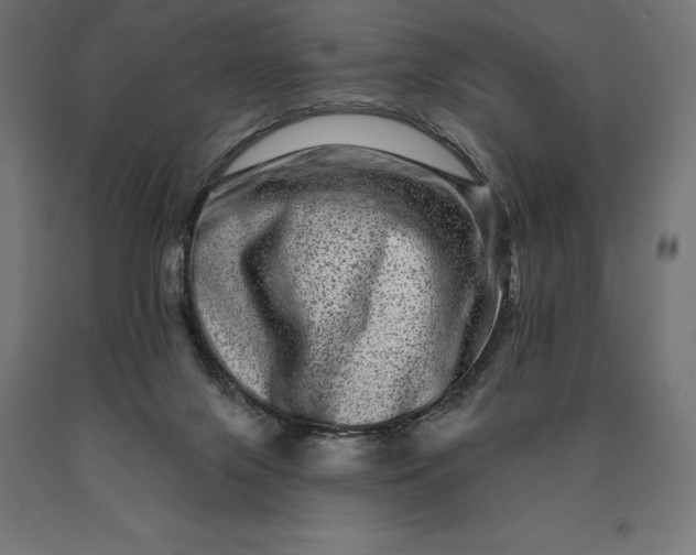 X0000090610071200707311231