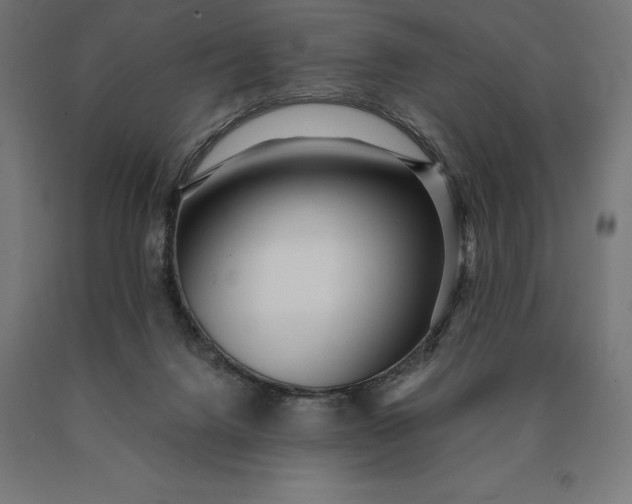 X0000090610072200707311231