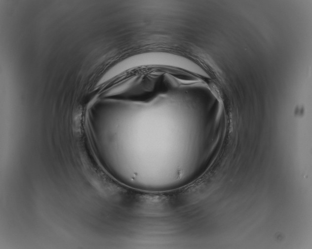 X0000090610073200707311231