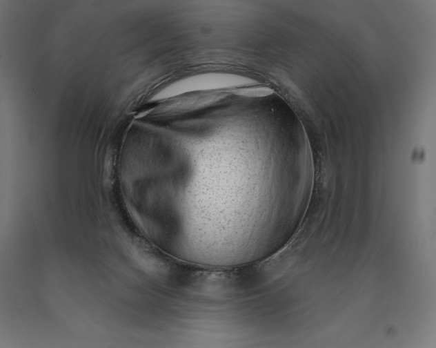 X0000090610074200707311231