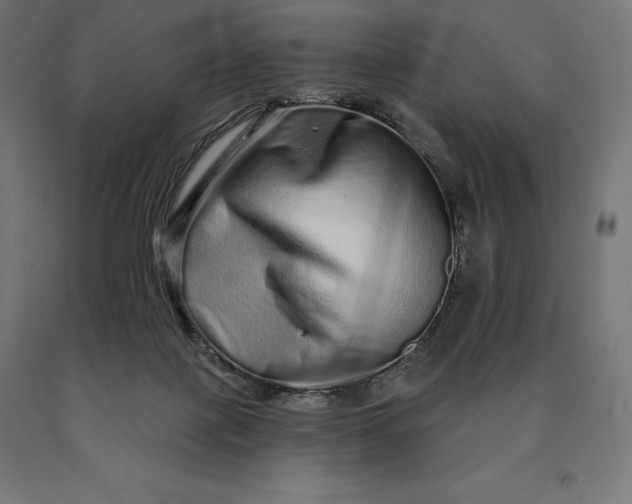 X0000090610075200707311231