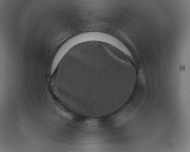 X0000090610076200707311231