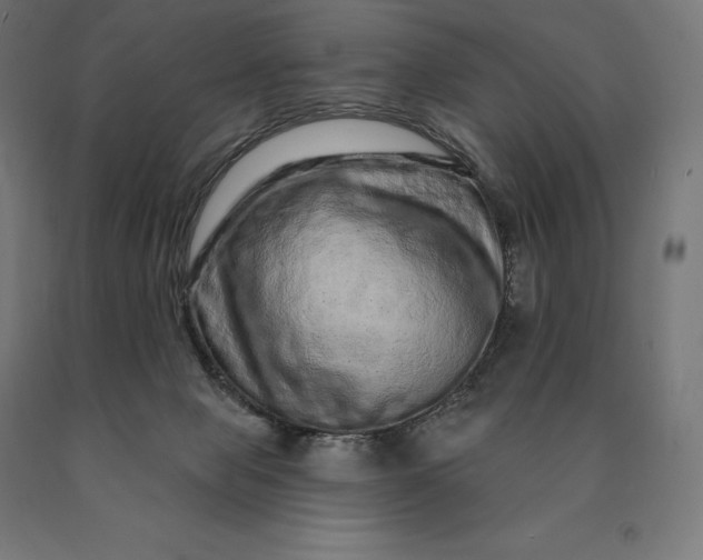 X0000090610077200707311231