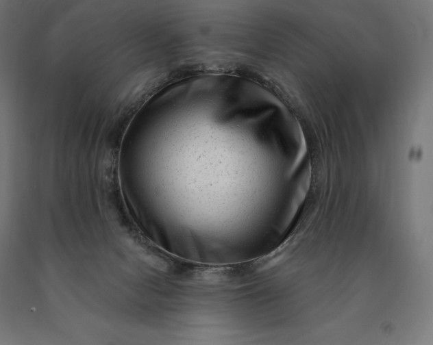 X0000090610078200707311231