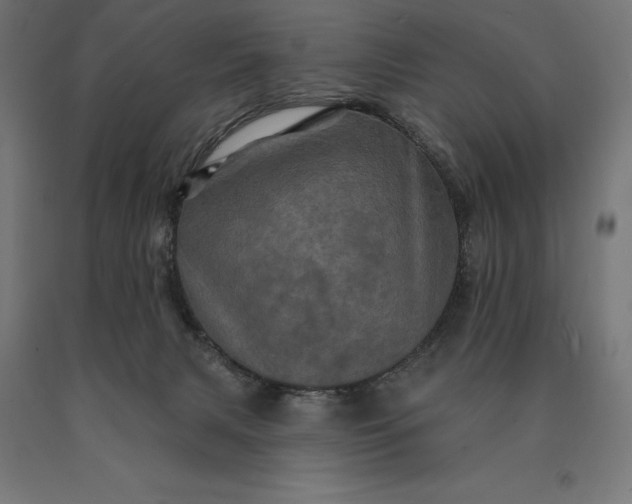 X0000090610079200707311231