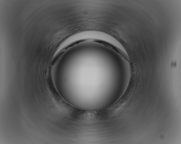 X0000090610080200707311231