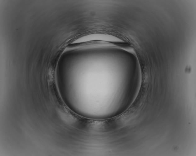 X0000090610081200707311231