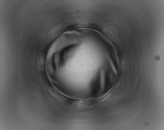 X0000090610082200707311231