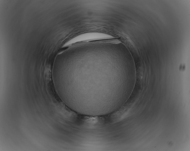 X0000090610083200707311231