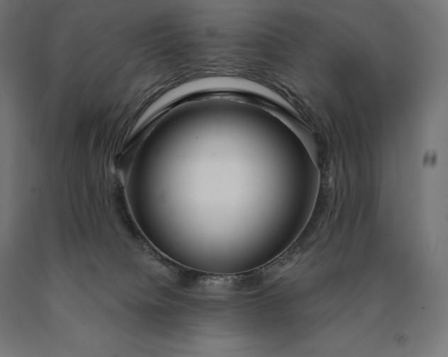 X0000090610084200707311231