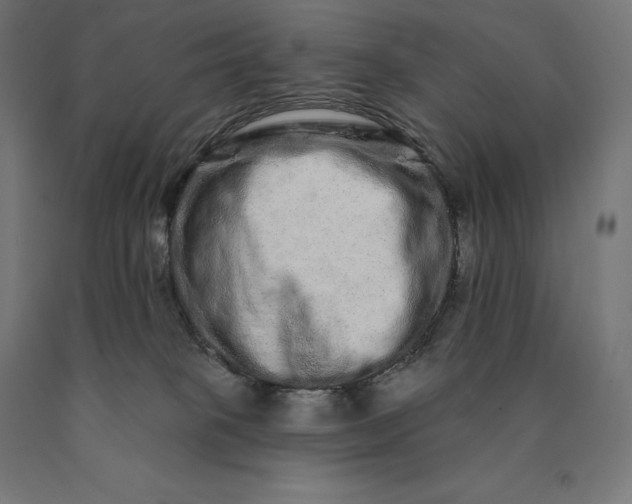 X0000090610085200707311231