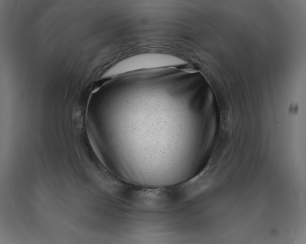 X0000090610086200707311231