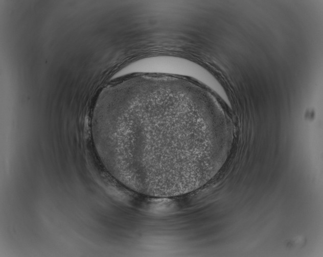 X0000090610087200707311231