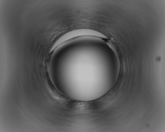 X0000090610088200707311231