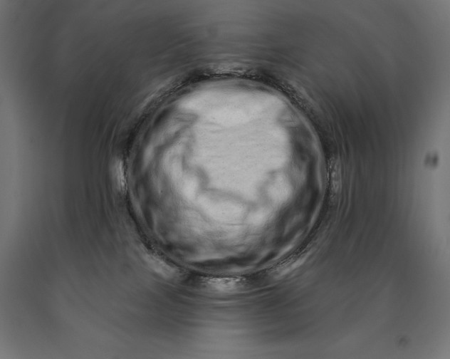 X0000090610089200707311231