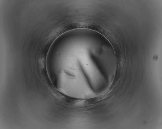 X0000090610090200707311231