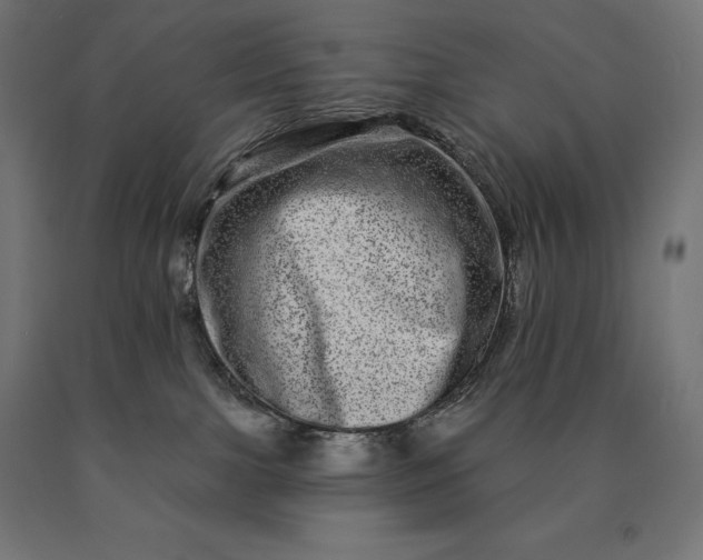 X0000090610091200707311231