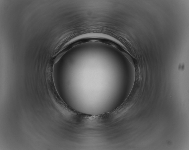 X0000090610092200707311231