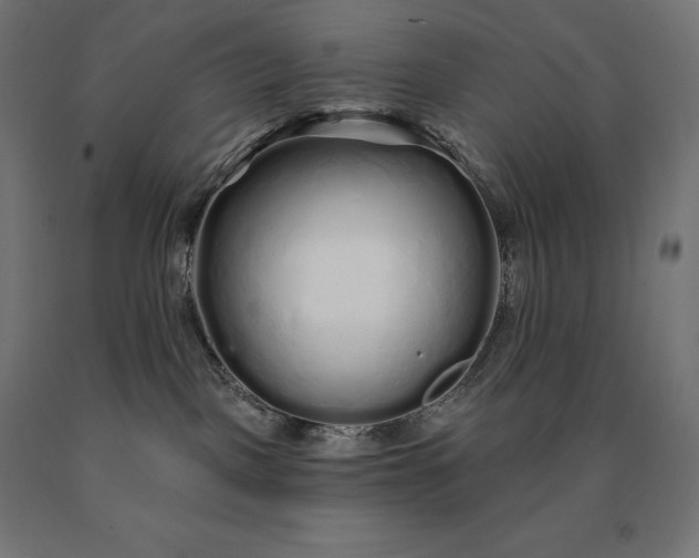 X0000090610093200707311231