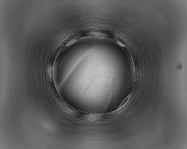 X0000090610094200707311231