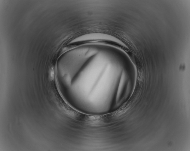 X0000090610095200707311231