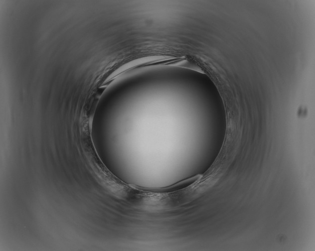 X0000090610096200707311231