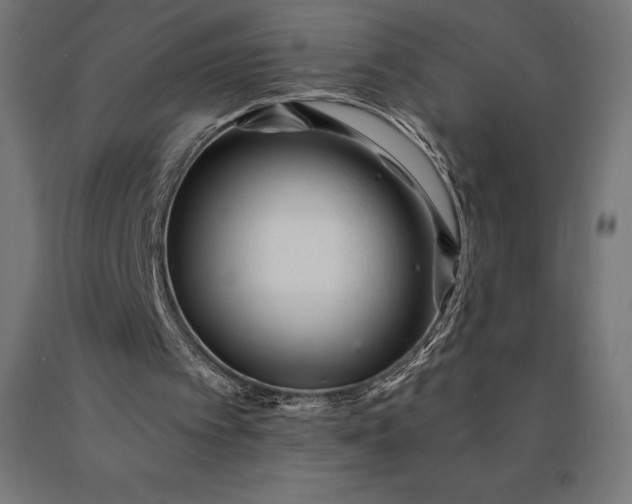 X0000090610097200707311231