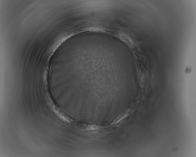 X0000090610098200707311231