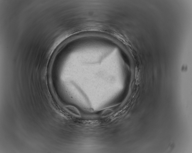 X0000090610099200707311230