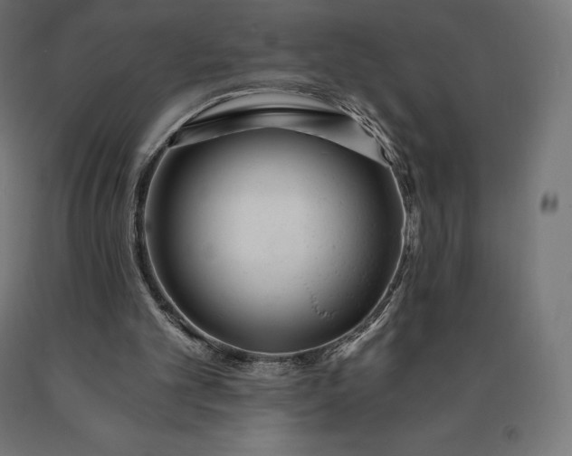 X0000090610101200707311230