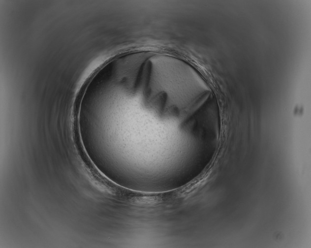 X0000090610102200707311230