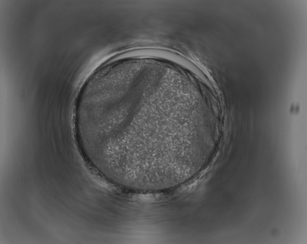 X0000090610103200707311230